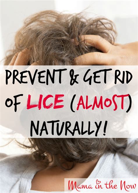 Prevent And Get Rid Of Lice Almost Naturally