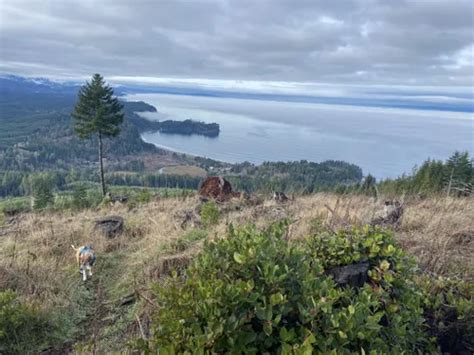 Best 10 Walking Trails Routes In Salt Creek Recreation Area Alltrails