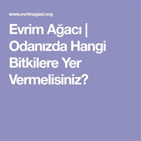 Evrim Ağacı Odanızda Hangi Bitkilere Yer Vermelisiniz Agaci