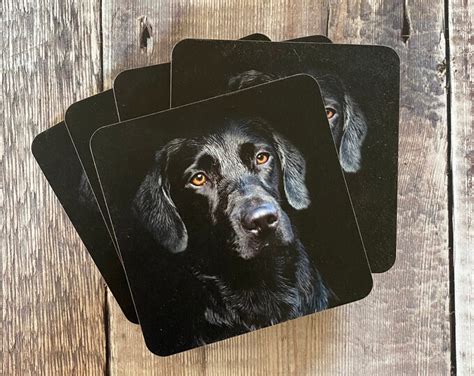 Black Labrador Drinks Coaster Labrador Coaster Labrador Coaster Set