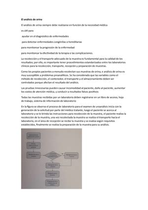 Ejercicios De Curvas De Calibracion Facultad De Ciencias De La Salud