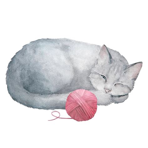 Ilustraci N Acuarela De Lindo Gato Gris Dormido Aislado Sobre Fondo