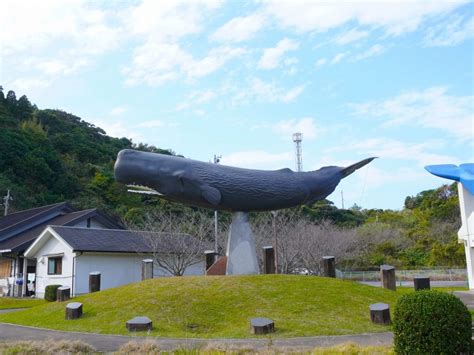 クジラの骨格標本が間近でみられる施設！ 鹿児島県大浦町『くじらの眠る丘』 耳ヨリくじら情報 くじらタウン