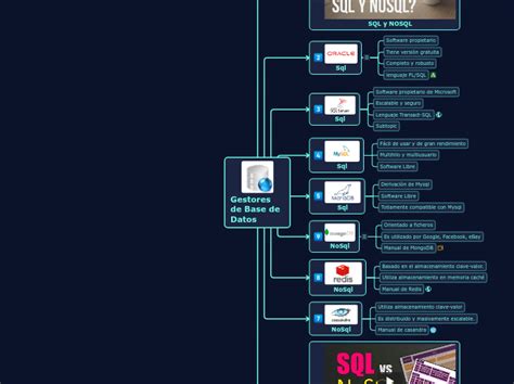 Gestores De Base De Datos Mind Map