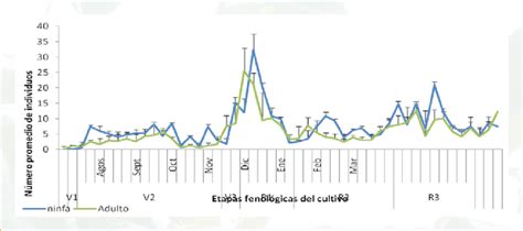 Fluctuaci N Poblacional Promedio Mensual De Ninfas Y Adultos De N