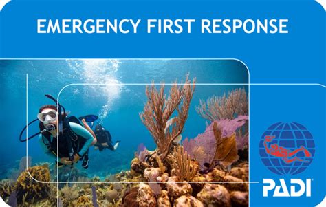 PADI Emergency First Response Bali Bali Dive Resort Pebble Fins