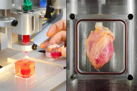 World S First 3D Printed Hearts And Functional Beating Hearts Grown