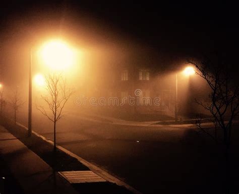 Heavy Fog On The Street Stock Photo Image Of Road Amazing 33619848