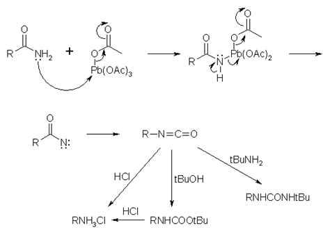 Sciencemadness Discussion Board Hoffmann Type Rearrangement Powered