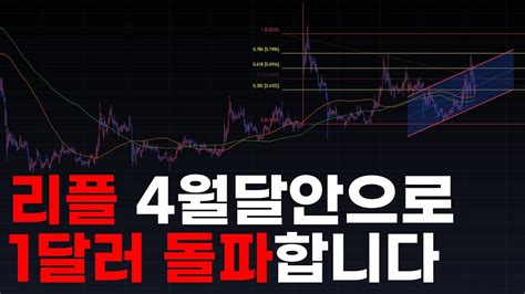 비트코인 최고점갱신 후 조정 조정이끝나면 주목해야되는 리플 Youtube