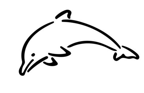 Dolphin Outline Template