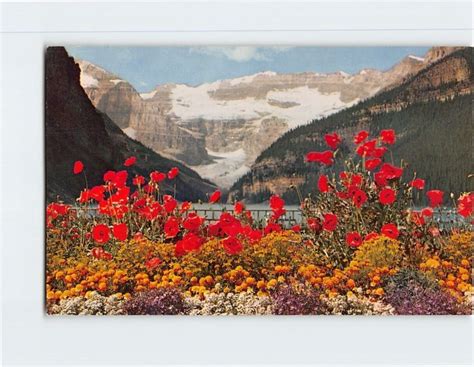 Postcard Lake Louise And Victoria Glacier Banff National Park Canada