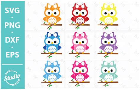 Owl On A Branch Svg Owl Svg Cute Owl Graphic By Design Studio