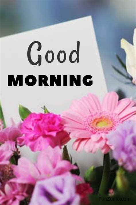 35 Best Good Morning Flowers Images Funzumo