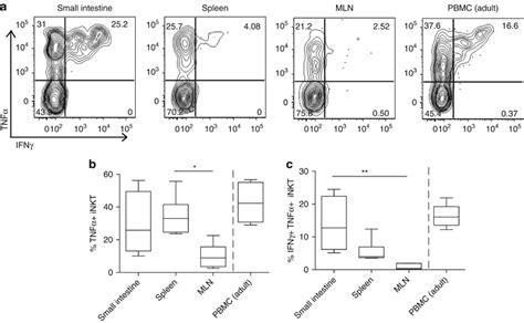 Cytokine Production By Fetal Invariant Natural Killer T Inkt Cells