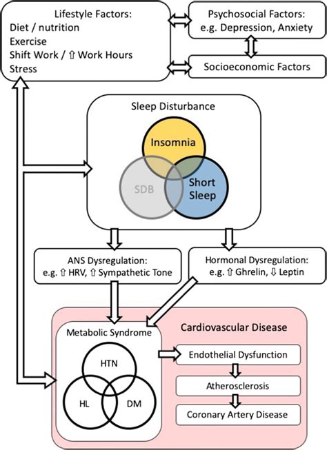 The Relationship Between Insomnia Short Sleep Duration And