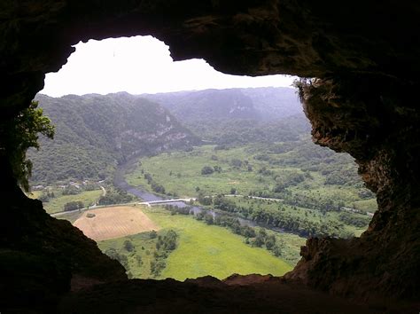 Bosque Estatal De Río Abajo Map Arecibo Puerto Rico Mapcarta