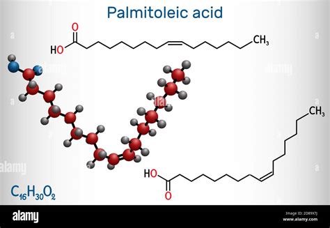 Palmitoleic Acid