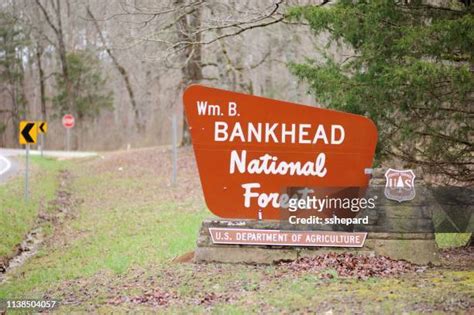 Bankhead National Forest Photos and Premium High Res Pictures - Getty ...