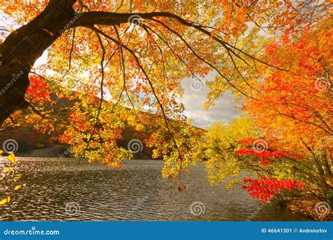 Fall Scenery Of Beautiful Mikurigaike Pond, A Crater Lake In Murodo ...