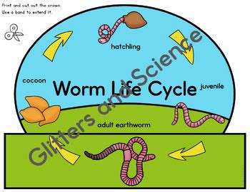 Worm Life Cycle Headbands/ Crowns | Earthworm Life Cycle Crowns Set 1