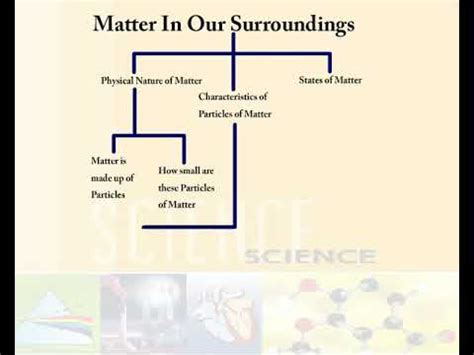 Class 9 Science Chapter 1 Matter In Our Surrounding Flow Chart Or Mind