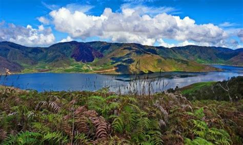 Mengenal Kota Anggi Kabupaten Pegunungan Arfak Sering Jalan