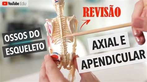 Ossos Do Esqueleto Axial E Apendicular Revis O Anatomia Etc