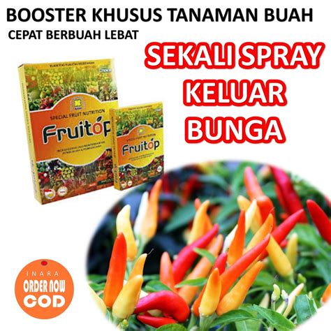 Jual Pupuk Buah Organik Super Lebat Pupuk Pelebat Tanaman Buah Dalam