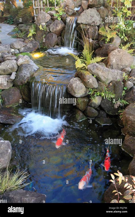 Waterfall Koi Pond