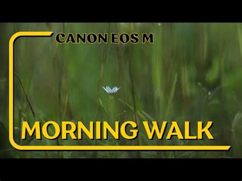 Morning Walk Canon Eos M Youtube