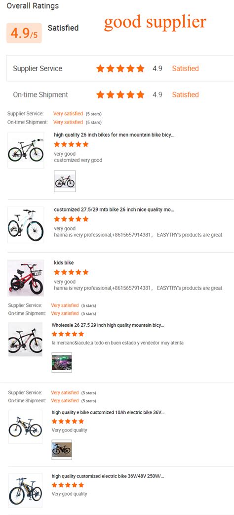 Hot High Quality E Bike China Manufacturer Customized 10ah Electric