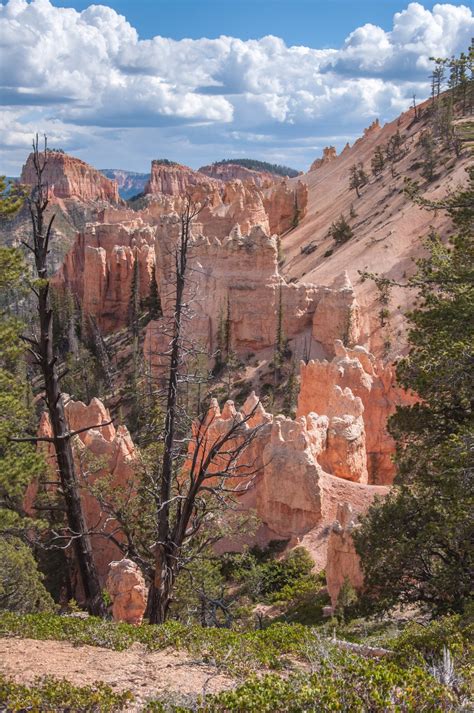 Free Images Rock Trail Valley Formation Cliff Arch Canyon