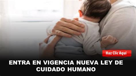 Entra En Vigencia Nueva Ley De Cuidado Humano Mi Pa S Ec