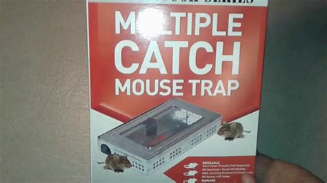 Repeater Multiple Catch Mouse Trap Review Catching Mice In Our