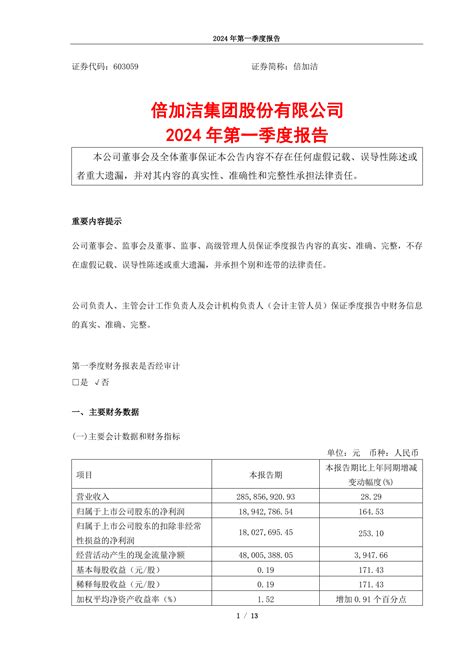 倍加洁集团股份有限公司2024年第一季度报告pdf 报告查一查