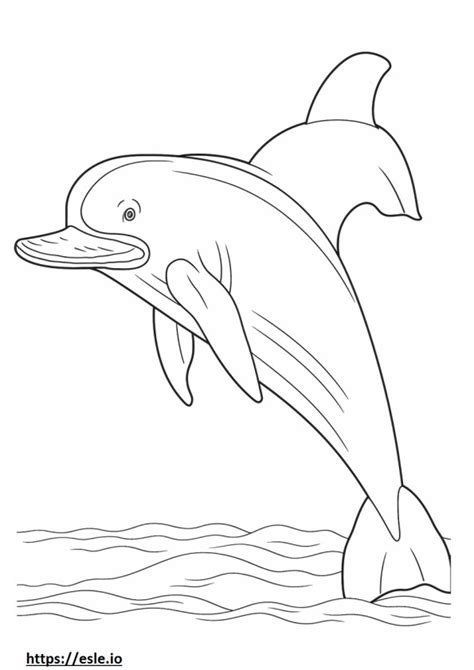 Baleen Whale Sleeping Coloring Page