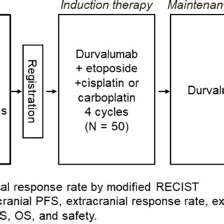 Design Of The Speed Study Abbreviations Ecog Ps Eastern Cooperative