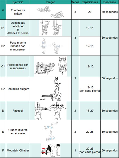 ️ Rutina De Entrenamiento Para Mujeres Principiantes Aprende A Entrenar En El Gimnasio