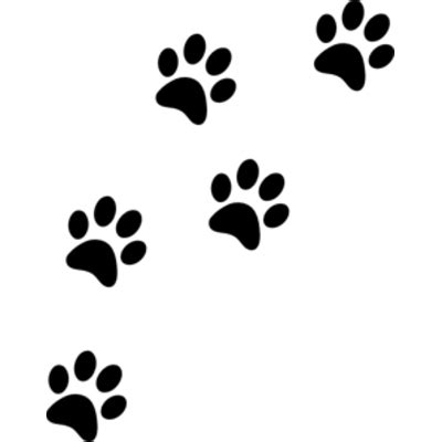 Paw Prints Transparent PNG Images StickPNG