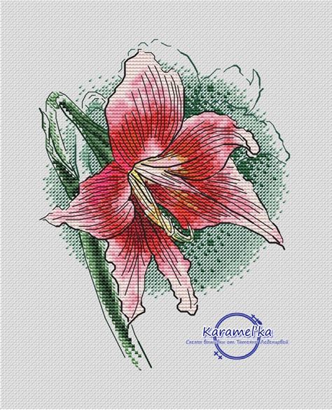 Amaryllis Flower Cross Stitch Chart Code Tl 087 Tatyana Ledentsova