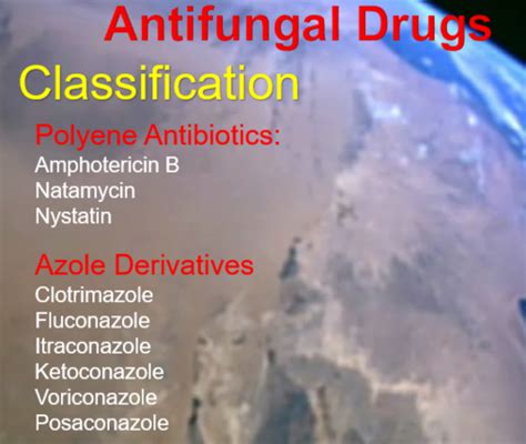 Antifungal Drugs Flashcards Quizlet