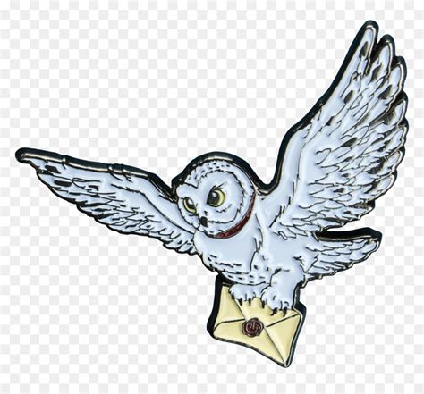 Transparent Hedwig Png - Harry Potter Owl Cartoon, Png Download - vhv