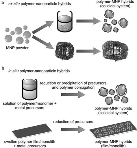 3 A Ex Situ And B In Situ Synthesis Of Polymernanoparticle Download Scientific Diagram