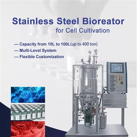 Stainless Steel Bioreactor Fermentor 10l 20l 100l Industrial Manufacturer