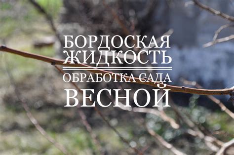 Бордосская смесь – приготовление и обработка сада весной! | Терра Дома ...