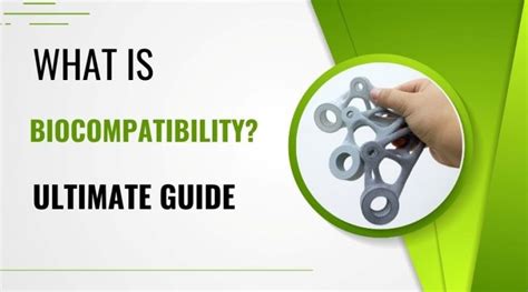 An Ultimate Guide To Biocompatibility Testing Applications And Primary Biocompatible Materials