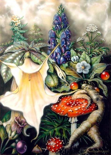 Magical Plants Hedge Witch Traditional Witchcraft Art