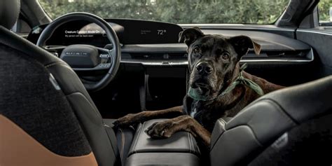 Lucid Releases Helpful Tesla Dog Mode Like Feature For Pet Owners