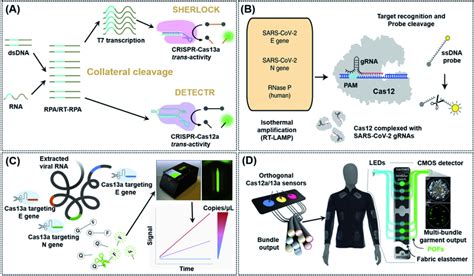 Crispr Cas Cas Based Biosensing Strategies Used In Nucleic Acid